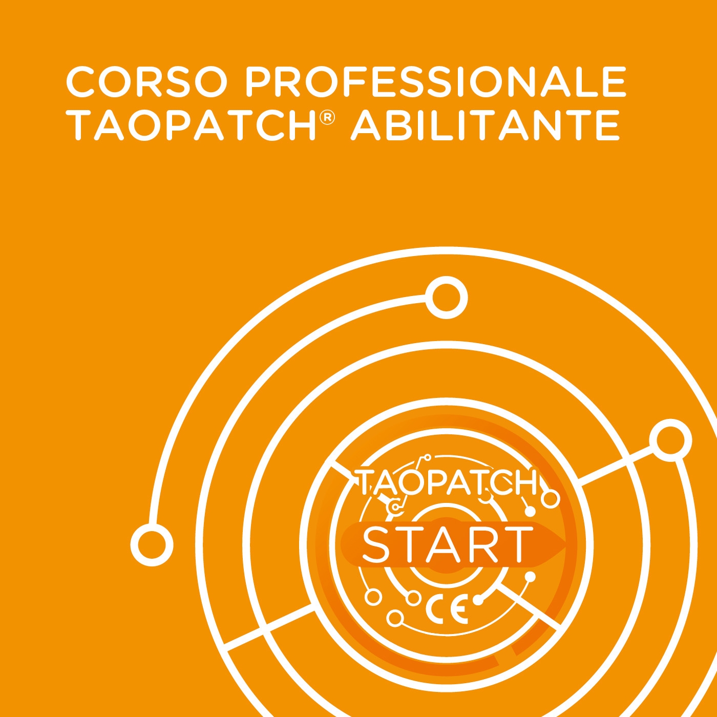 CORSO PROFESSIONALE TAOPATCH® ABILITANTE